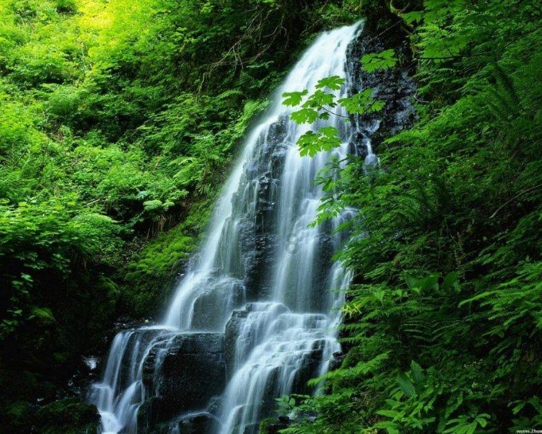 《冷知识分享平台 - 探秘修复蓝屏的软件的奥秘》